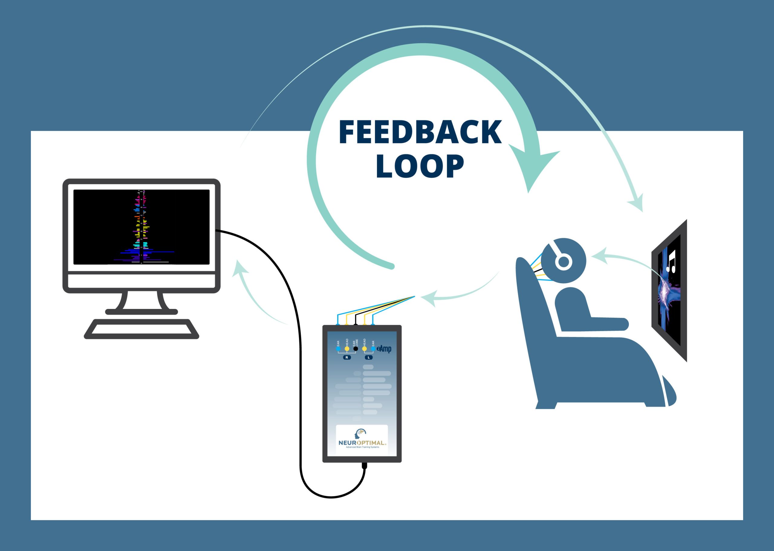 Neurofeedback loop